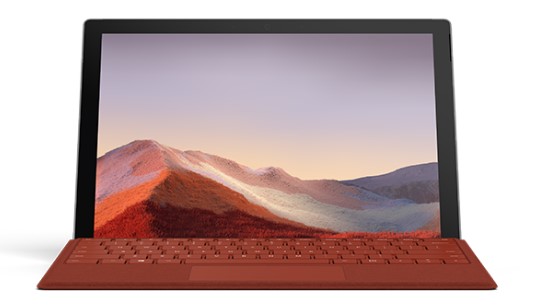 下花园清洁和维护 Surface